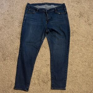 Old Navy Dark Blue Skinny Jeans